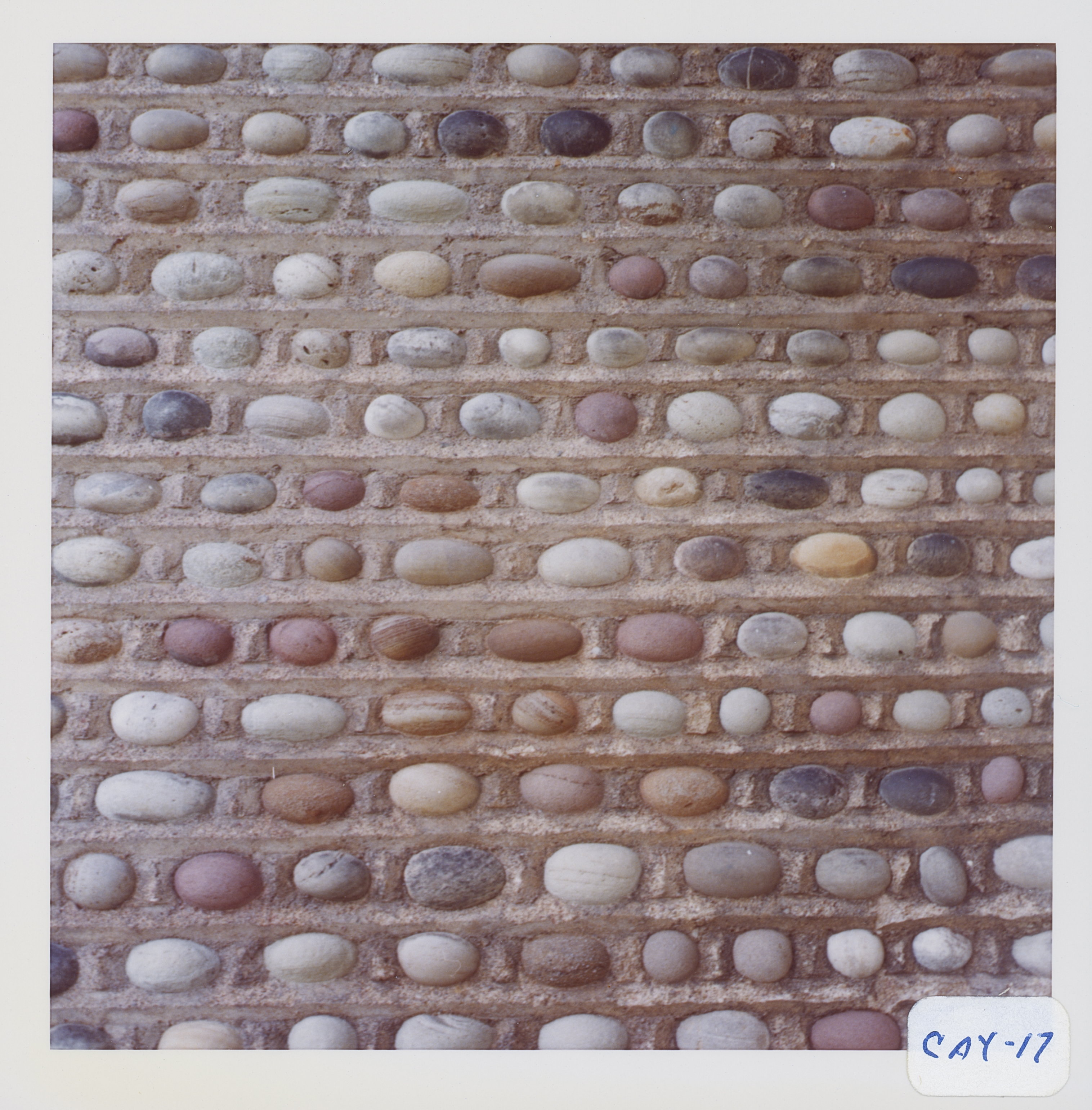 Cat-3 Markham Cay-17